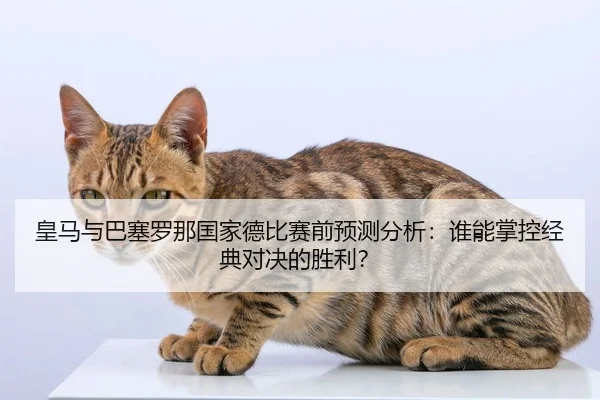 皇马与巴塞罗那国家德比赛前预测分析：谁能掌控经典对决的胜利？