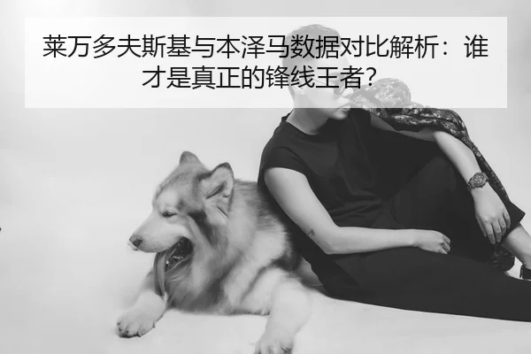 莱万多夫斯基与本泽马数据对比解析：谁才是真正的锋线王者？